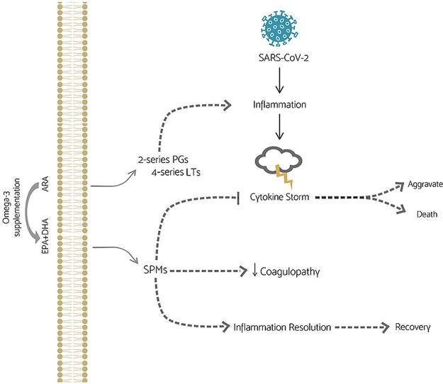 Potential benefits of omega-3 fatty acids supplementation to patients with COVID-19