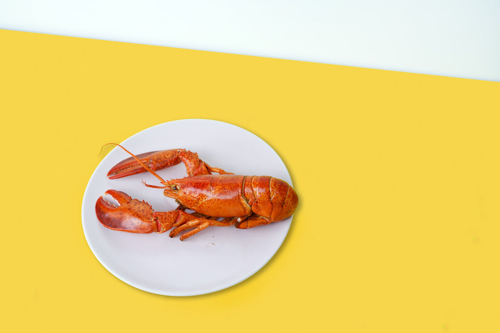 Seafood Consumption Critical for Brain Development