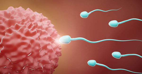 Co-exposure to 55 endocrine-disrupting chemicals linking diminished sperm quality: Mixture effect, and the role of seminal plasma docosapentaenoic acid