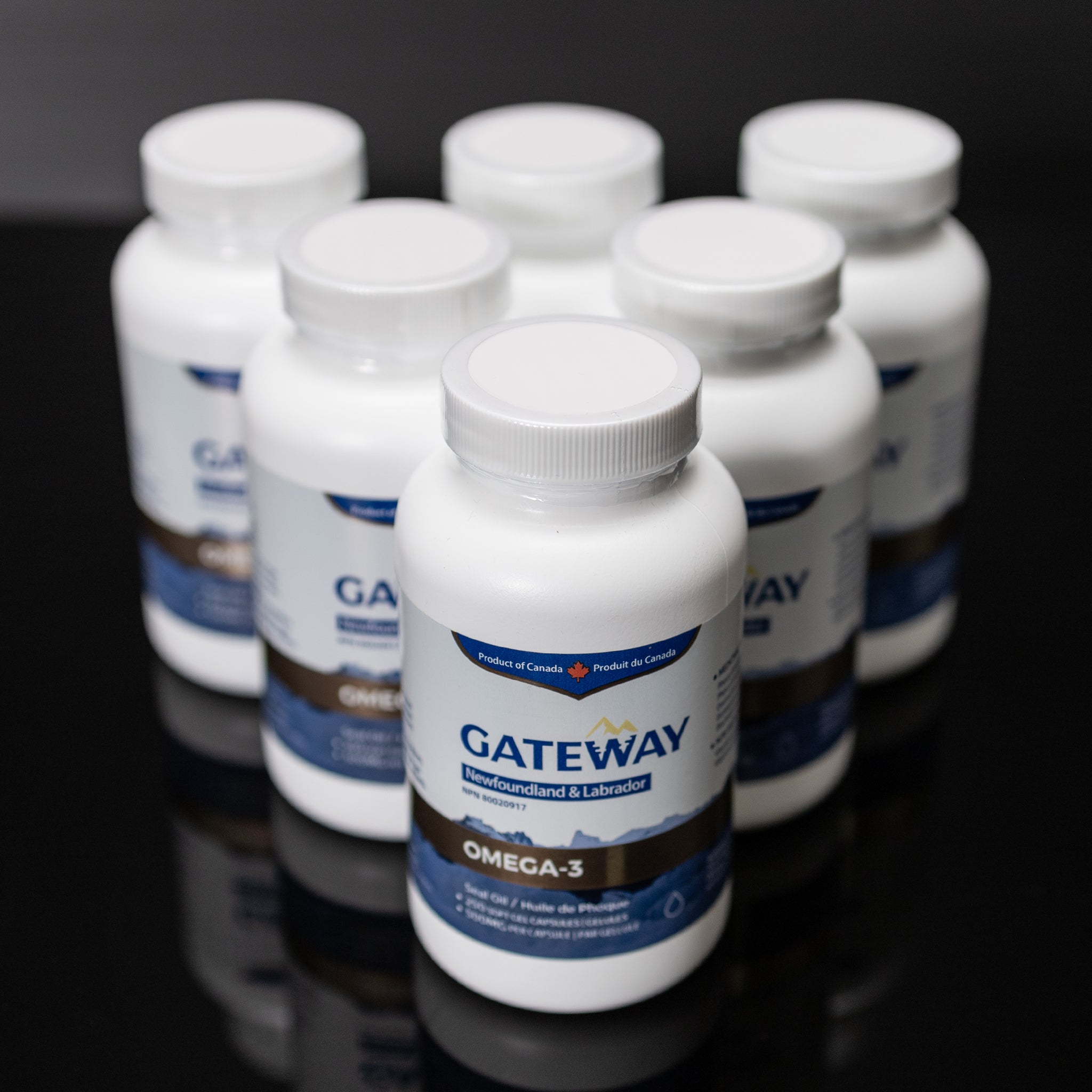 Gateway Seal Oil Omega-3 (250 softgels) x12